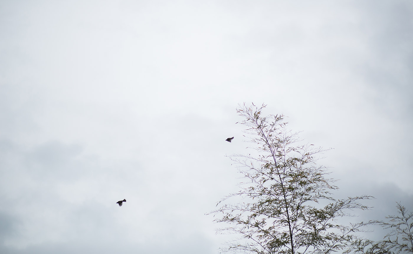 皖南水鄉品牌策略全案-清尚藝美